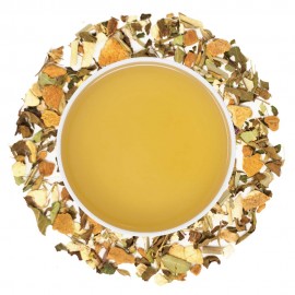 Danta Herbs Defend & Protect Wellness Tea