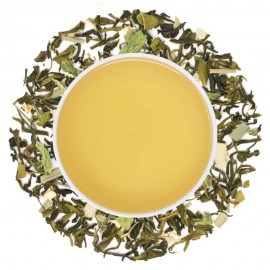 Danta Herbs Ginger Mint Green Tea