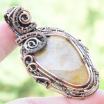 Fossil Coral Gemstone Handmade Copper Wire Wrapped Pendant Jewelry 2.17" BZ-662